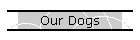 Our Dogs