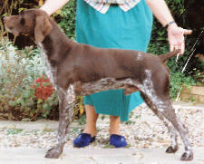 Click for more details of Oak